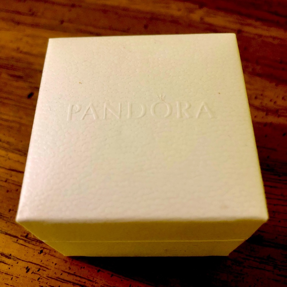 Pandora charm box (charm not included)